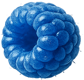 Blue Razz slices (1)