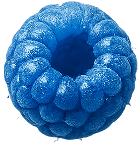 Blue Razz slices (5)
