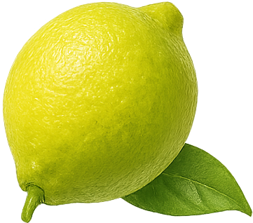 lemon (10)
