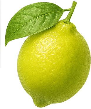 lemon (3)
