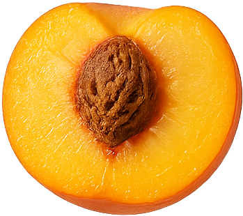 peach slices (2)