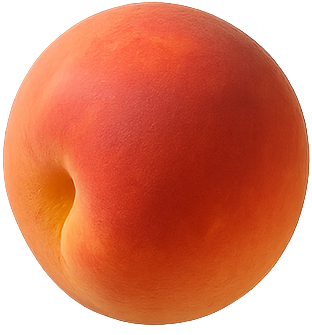 peach slices (4)