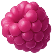 pink pine (10)