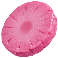 pink pine (5)